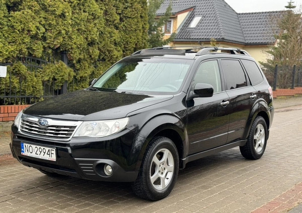 Subaru Forester cena 25900 przebieg: 229648, rok produkcji 2009 z Nidzica małe 781